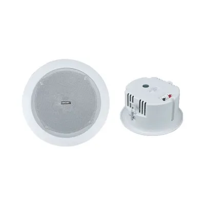 Alto -falantes de teto de 8 ohm